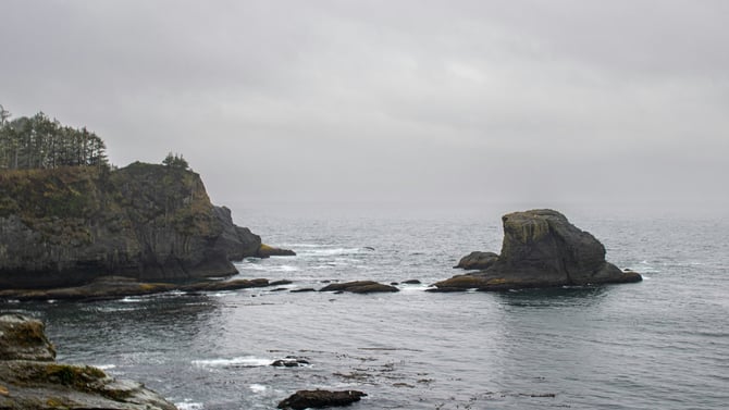 Whale Watching in Seabrook, Washington