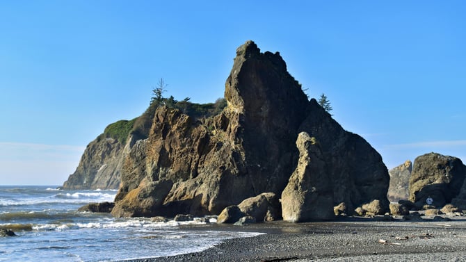 A Coastal Tradition: Clam Digging in Seabrook, Washington